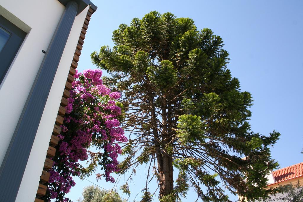 Vilaportuguesa Vila Velha de Rodao Exterior foto
